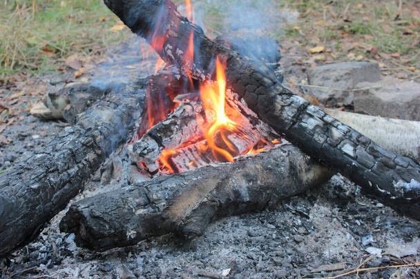 Lagerfeuer im Wald. Lagerfeuer im herbstlichen Wald. Campingküche. Kochen auf offenem Feuer - Foto, Bild