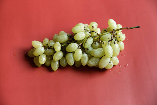 Top view of fresh wet green bunch of grapes on the red surface as background. Vegetarian sweet and delicious food. - Photo, Image