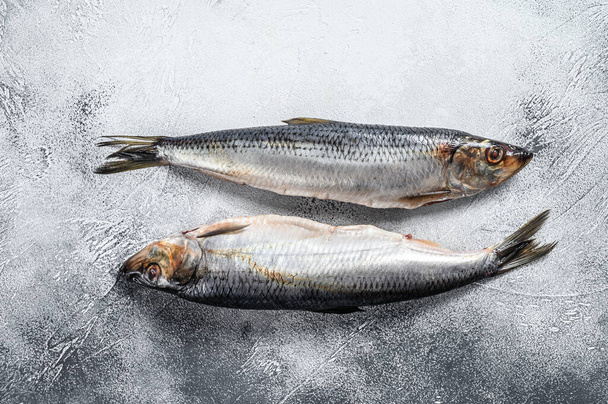 Whole salted Dutch herring. Gray background. Top view. - Fotografie, Obrázek