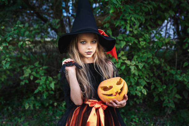 Little girl in witch costume on Halloween trick or treat in garden - Фото, изображение