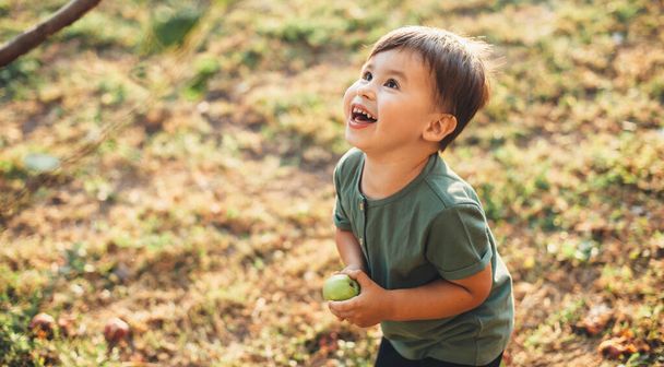 Χαρούμενο καυκάσιο αγόρι που κρατάει ένα μήλο και κοιτάζει το δέντρο ενώ παίζει σε ένα χωράφι κατά τη διάρκεια της διεθνούς ημέρας των παιδιών - Φωτογραφία, εικόνα