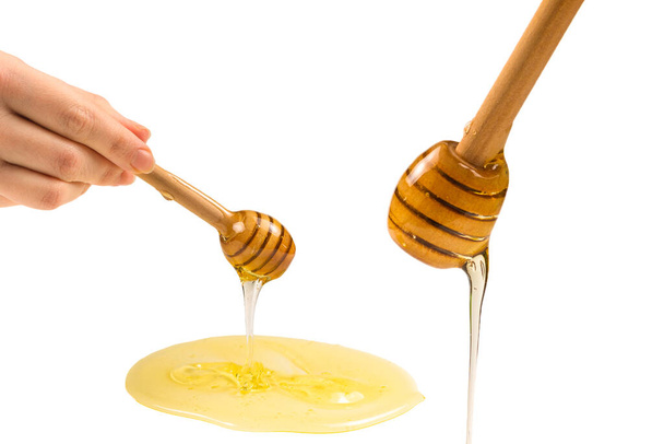 Άρκτος με μέλι στο γυναικείο χέρι. Χώρος για κείμενο ή σχεδιασμό.  - Φωτογραφία, εικόνα