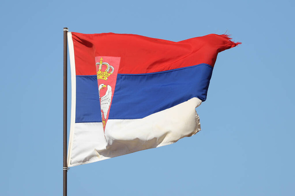 Serbische Flagge weht auf Fahnenmast vor blauem Himmel - Foto, Bild