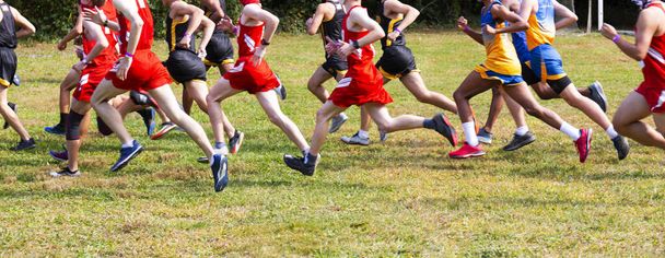 Boční pohled na start běžeckého běhu chlapců na trávě. - Fotografie, Obrázek
