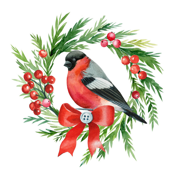 Holiday card of bullfinch, Christmas wreath on white background, watercolor drawings - Фото, изображение