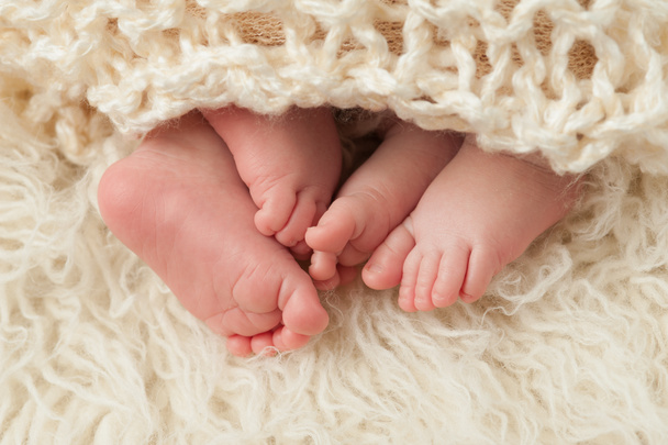 Feet of Newborn Baby Twins - Photo, Image
