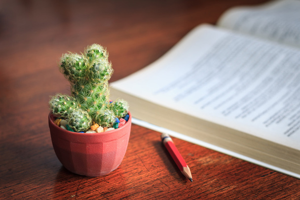 üzleti koncepció, a kaktusz ceruzát és egy könyv, a fa háttér  - Fotó, kép