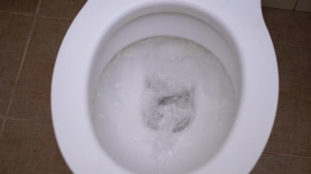 Toilet doorgespoeld Top Down View. Water en papier spoelen naar beneden in de toiletpot - Video