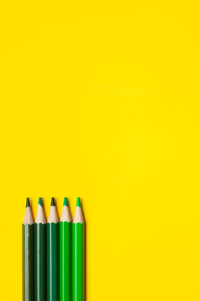 vertical green sharp wooden pencils on a bright yellow background, isolated, copy space, mock up - 写真・画像