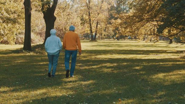 Elderly couple walking in the park in autumn while hodling hands - Photo, Image