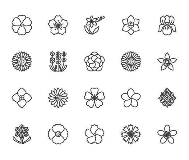 Virágok lapos vonalú ikonok. Gyönyörű kerti növények - napraforgó, mák, cseresznyevirág, levendula, gerbera, pluméria, hortenzia virág. Vékony jelek a virágüzletben. Pixel tökéletes 64x64. Szerkesztendő Strokes - Vektor, kép