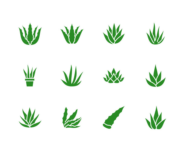 Aloe Vera lapos glifikus ikonok. Szukkulens, trópusi növényi vektor illusztrációk, organikus élelmiszerek jelei, kozmetikai. Szilárd sziluett pixel tökéletes 64x64. - Vektor, kép