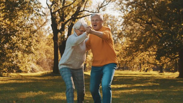 Parkta dans eden mutlu yaşlı çift. Kıdemli adam yaşlı bir kadınla flört ediyor. Yaşlılıkta romantizm sonbahar günü - Fotoğraf, Görsel