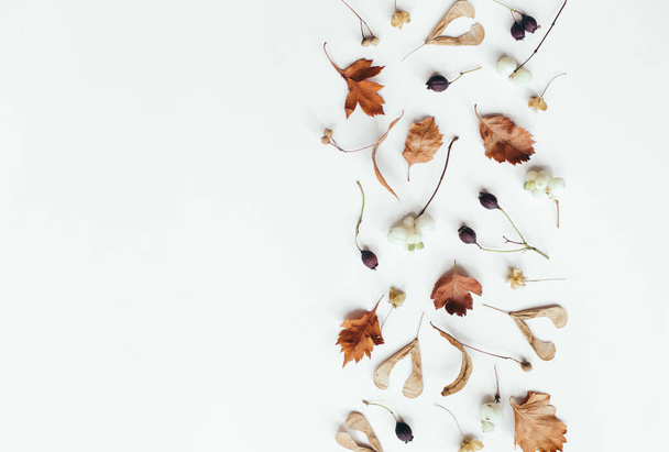 Autumn leaves on white background. Autumn, fall composition. Flat lay, top view, copy space - Zdjęcie, obraz