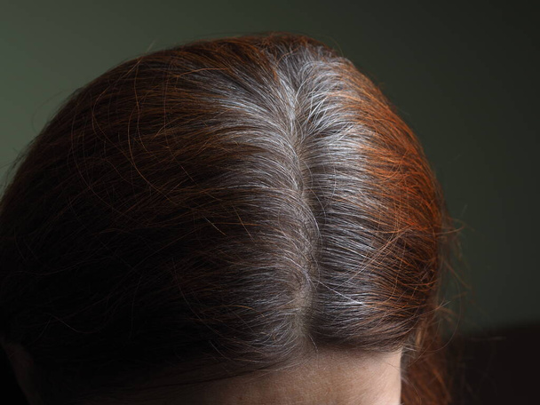 testa di una donna con i capelli grigi tinti con hennè - Foto, immagini