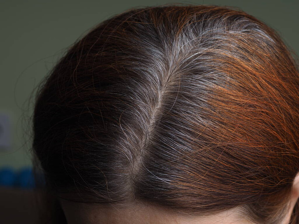 egy ősz hajú nő feje hennával festve - Fotó, kép