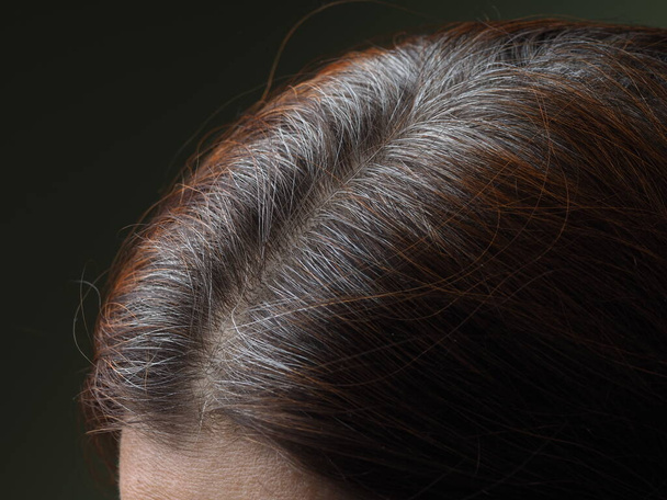 egy ősz hajú nő feje hennával festve - Fotó, kép