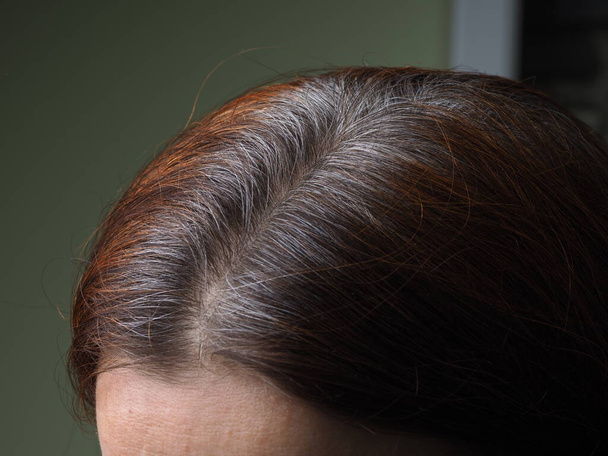 cabeça de uma mulher com cabelo grisalho tingido com henna - Foto, Imagem