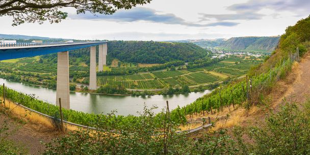 Widok na stalowy most wiązki łączący pasma górskie Eifel z widokiem na rzekę Moselle i winnic Winningen regionu winiarskiego. - Zdjęcie, obraz