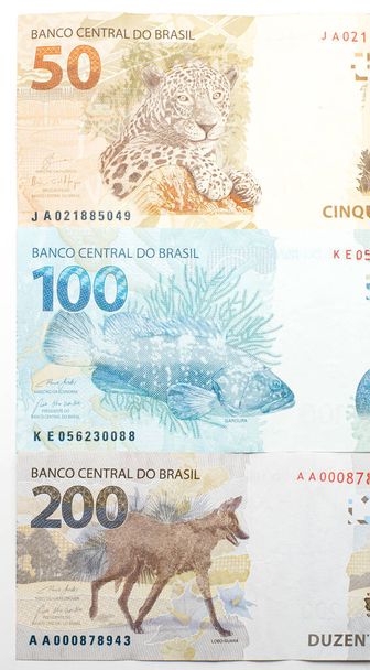 Zwierzęta z brazylijskich banknotów na odwrocie. Banknoty BRL obok siebie, 200, 100 i 50 reali. Guara wilk, grouper i malowane uncja. - Zdjęcie, obraz