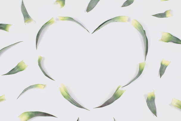 Πράσινα φύλλα ανανά που τοποθετούνται σε σχήμα καρδιάς απομονωμένα στις - Φωτογραφία, εικόνα