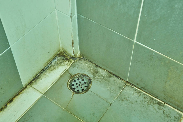 Schmutzflecken auf dem Badezimmerboden, Wassermineralien und Rost eine verschmutzte - Foto, Bild