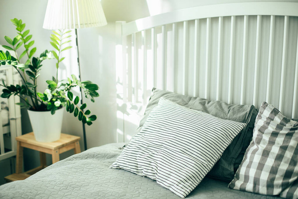 Interior escandinavo em cores cinza e branco. Casa planta ficus verde em vaso branco e cama com travesseiro cinza e colcha - Foto, Imagem