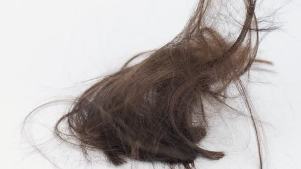 Cut Brown Hair Falls To The White Floor Close-up. Fallende Haare auf weißem Hintergrund beim Haarschnitt im Schönheitssalon. Frisur und Haarpflegekonzept ändern - Filmmaterial, Video