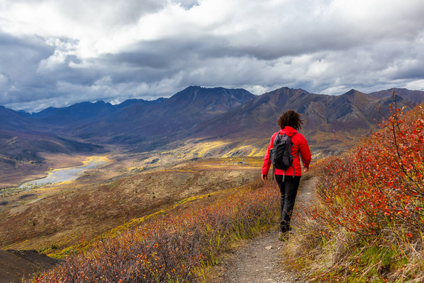 Scenic View of Woman Hiking on a Cloudy Fall Day - Фото, зображення