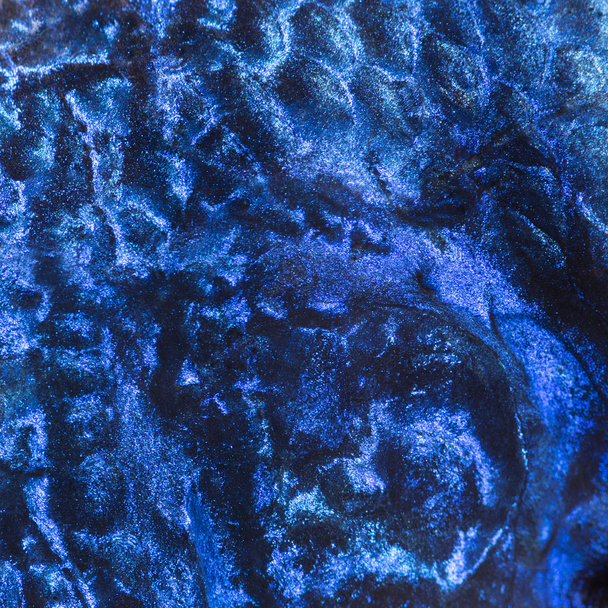 makro elektrická modrá hap kůže, sciaenochromis ahli - Fotografie, Obrázek