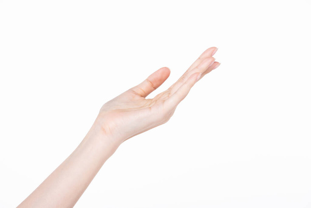 Weibliche schöne Talent Hand, Arm und Finger in guter Form Figur zeigen Geste Bedeutung Zeichen posieren, Studiobeleuchtung isoliert weißen Hintergrund für Werbung Körperteil - Foto, Bild