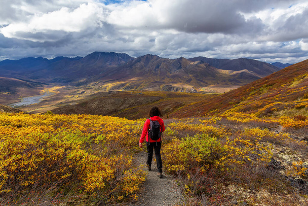 Woman hiking along Scenic Trail on a Mountain, during Fall - Фото, зображення