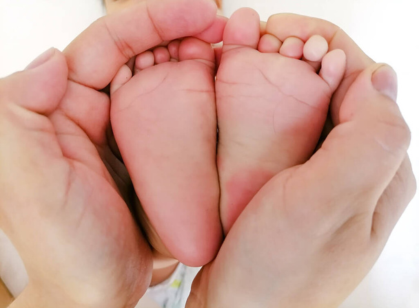 Nogi dziecka w rękach matki. Nowo narodzone nóżki na kobiecych ukształtowanych dłoniach zbliżenie. Mama i jej dziecko. Koncepcja szczęśliwej rodziny. Piękny konceptualny obraz macierzyństwa. sztandar - Zdjęcie, obraz