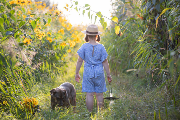 Little adorable girl walking in autumn field at evening holding a vintage lantern. - Фото, зображення