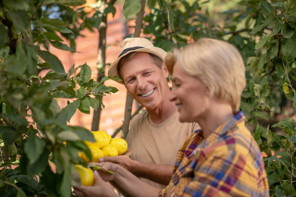 Smiling couple picking lemons in the garden - Photo, image