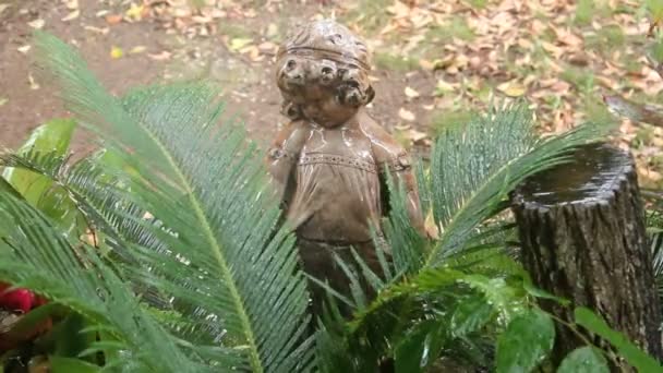 Watering Palm Statue - Кадри, відео