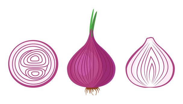 Red onion. Delicious and healthy vegetable used in food. A root vegetable that is prepared as a seasoning. Vector illustration isolated on a white background for design and web. - Vektori, kuva