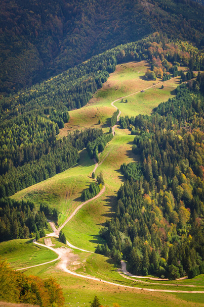 Jesienny krajobraz w górach. Górska scena jesienna z kolorowymi drzewami w lesie - Zdjęcie, obraz