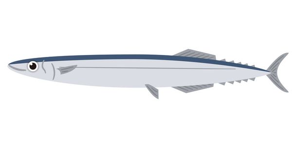 Simple illustration of saury on white background - Vector, afbeelding