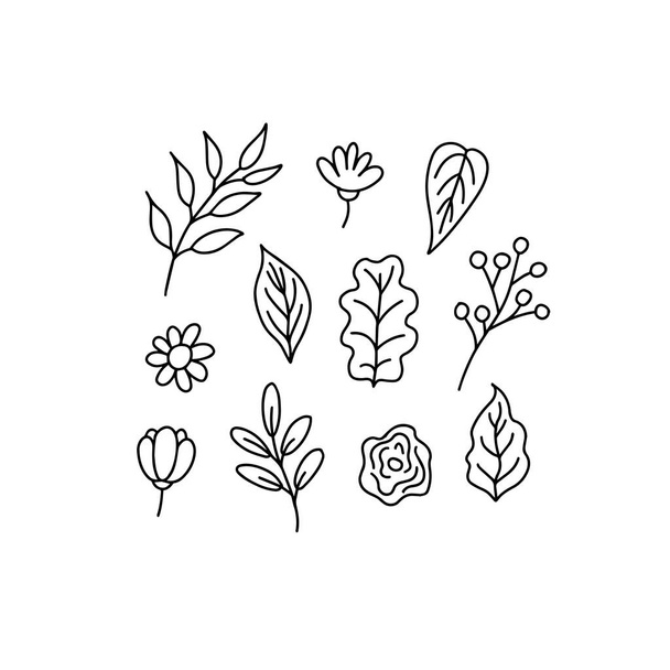 Hand drawn leaves and flowers collection isolated elements. Vector illustration - Вектор, зображення
