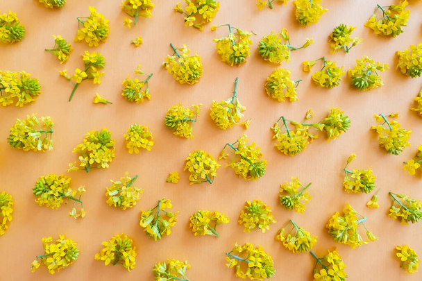 Yellow wildflowers a lot on orange textured background. Top view, flatlay - Zdjęcie, obraz