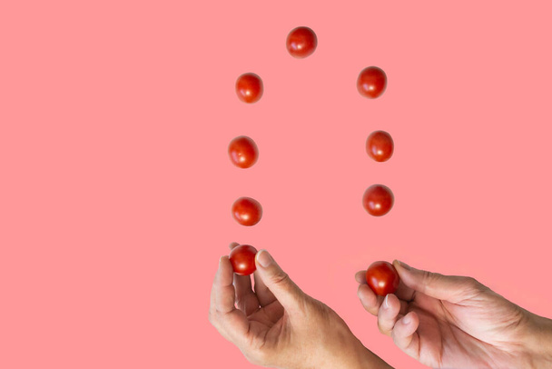 Πετώντας μικρές ντομάτες πάνω από τα χέρια απομονώνονται σε ροζ φόντο. Τρίκ ακροβατικών με φρέσκες ντομάτες. Μοντέρνο γαστρονομικό mockup με αντίγραφο χώρου. - Φωτογραφία, εικόνα