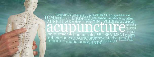 Akupunktur Kelime Bulutu afişi ile ilgili kelimeler - bir akupunktur noktalarını tutan eller bir ACUPUNCTURE kelime bulutu yanında yeşim yeşil arka plan karşı  - Fotoğraf, Görsel
