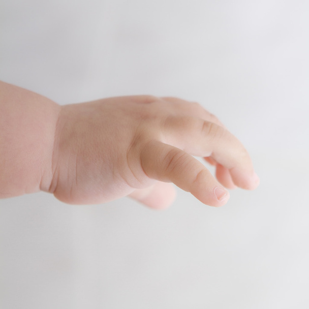 Baby hand - Foto, Imagem