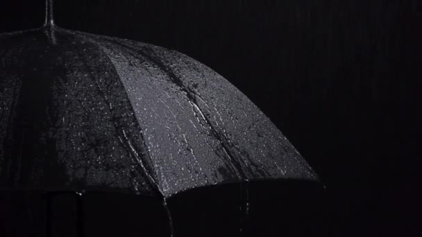 Video van zwarte paraplu en regendruppels op zwarte achtergrond - Video