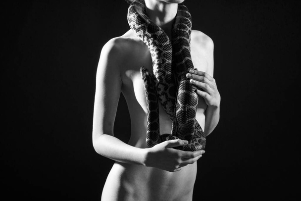 Black and white photo of young woman topless with yellow anakonda - 写真・画像