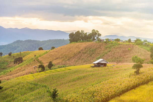 Panorama Luchtfoto van Pa Bong Piang terrasvormige rijstvelden, Mae Chaem, Chiang Mai Thailand.Niet focussen op het hoofdonderwerp . - Foto, afbeelding