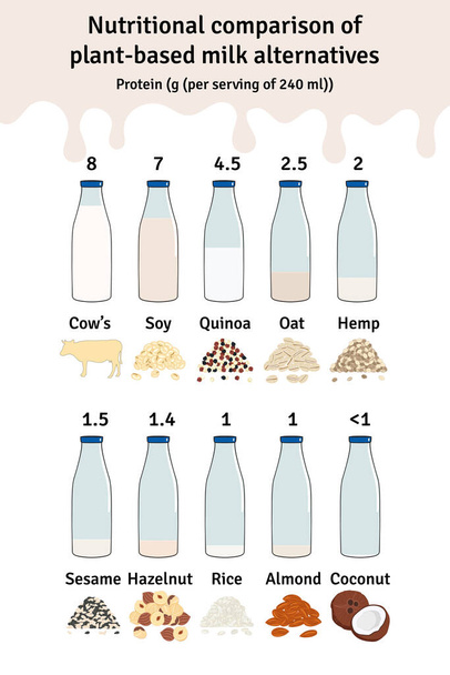 Kasvipohjaista maitoa sisältävät pullot. Vegaaninen maitoproteiini infografia. Manteli, soija, riisi, kookos, hasselpähkinä, kaura, seesami, hamppu, kvinoa maito. Maitovaihtoehtoja. Käsin piirretty vektorikuva. - Vektori, kuva