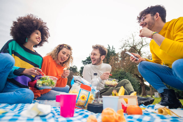 Vier multi-etnische vrienden picknicken in een park in groep met plezier vieren en gezond eten genieten van groen leven - Foto, afbeelding