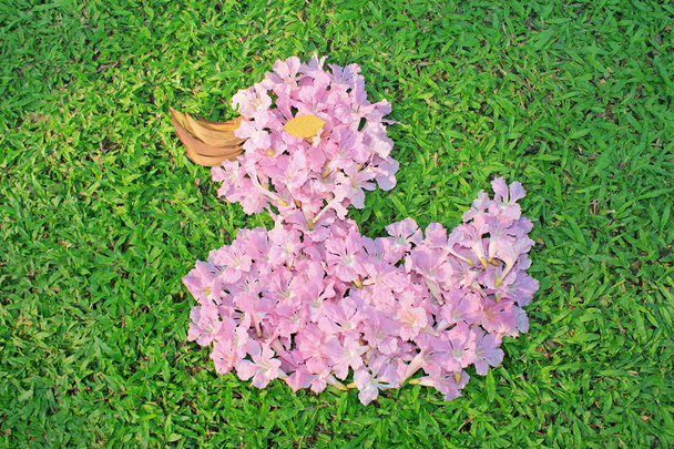 Arranjos de flores em forma de pato
 - Foto, Imagem